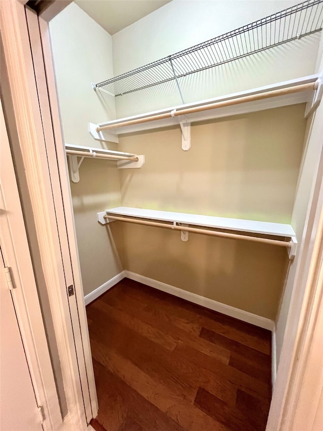 spacious closet with dark hardwood / wood-style floors