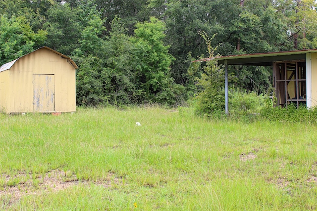 view of yard featuring a shed