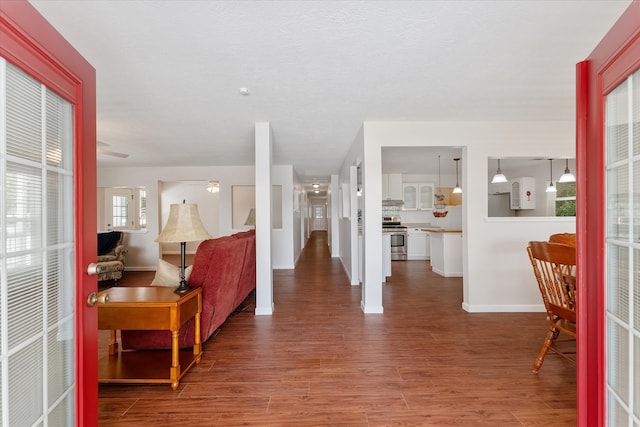 interior space featuring a wealth of natural light and hardwood / wood-style floors