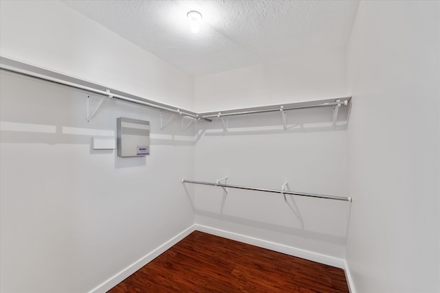 walk in closet with hardwood / wood-style floors