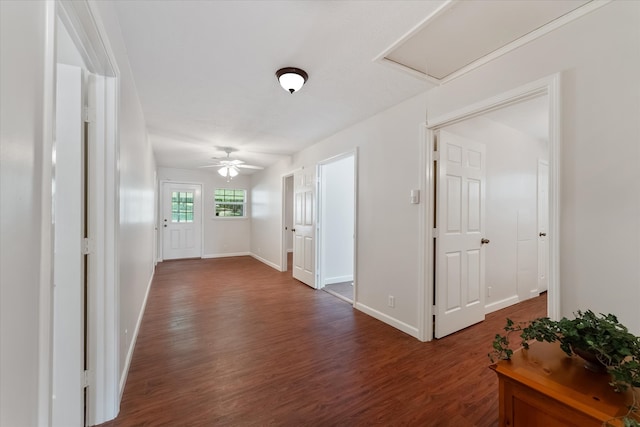 corridor with dark hardwood / wood-style floors