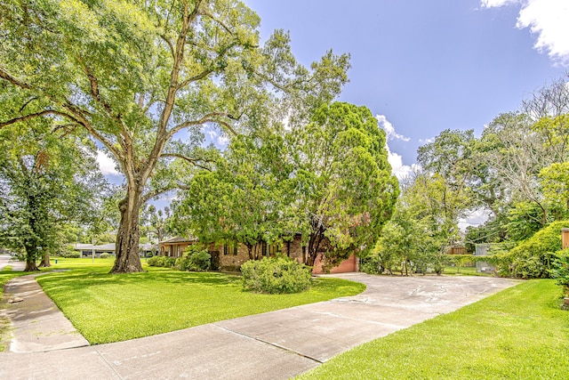 view of home's community featuring a yard