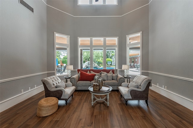 living room featuring dark hardwood / wood-style floors and a towering ceiling