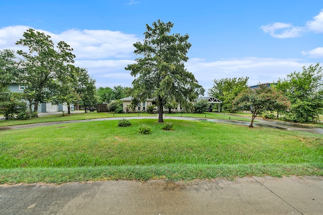 view of home's community featuring curved driveway and a lawn