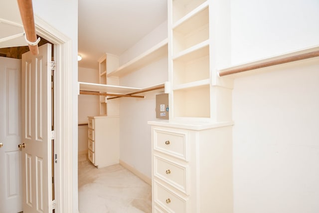 spacious closet with light carpet