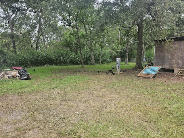 view of yard featuring a storage shed