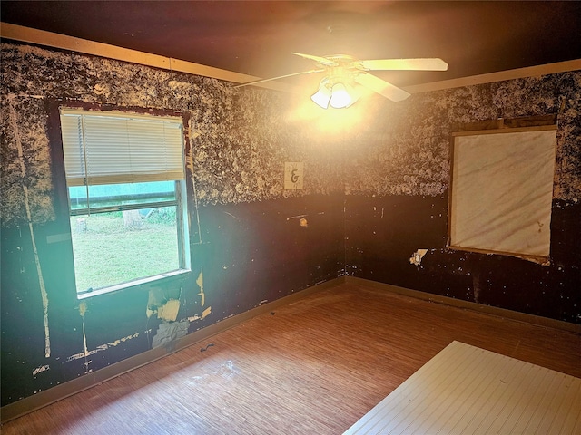 empty room featuring ceiling fan and hardwood / wood-style flooring