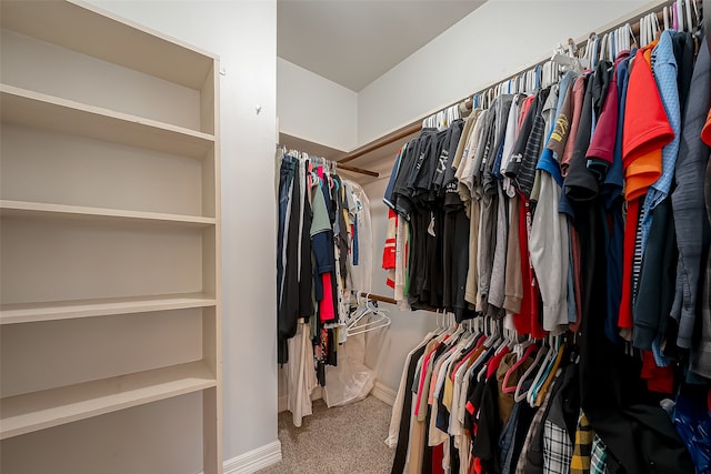 spacious closet featuring carpet flooring