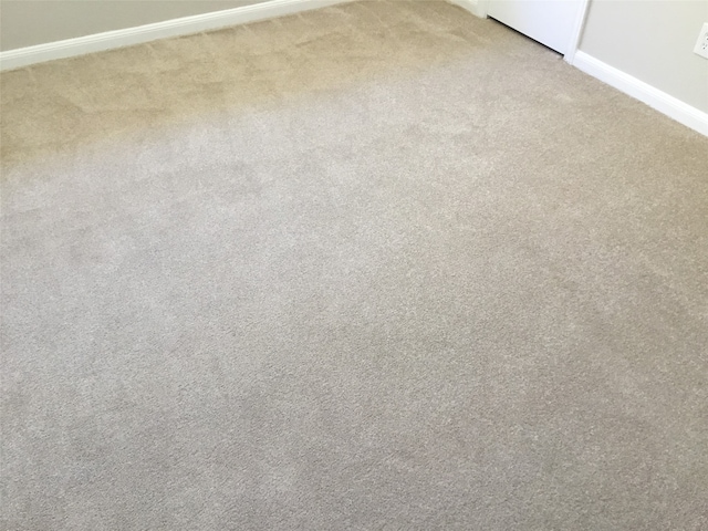 room details with carpet flooring