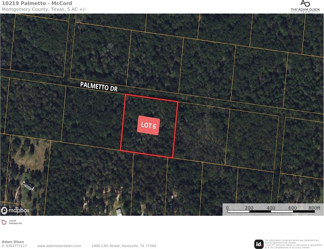 10219 Palmetto, Magnolia TX, 77354 land for sale