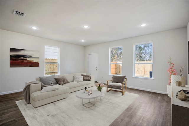 living room with dark hardwood / wood-style floors