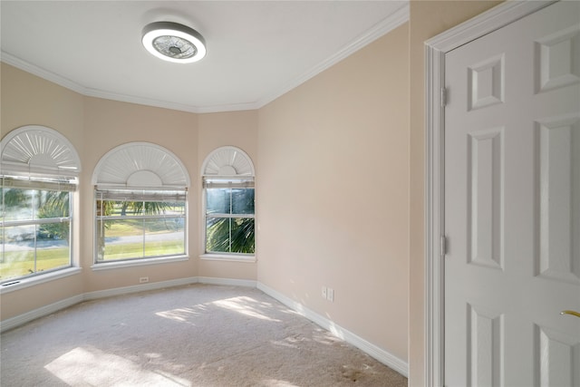 empty room featuring crown molding and carpet