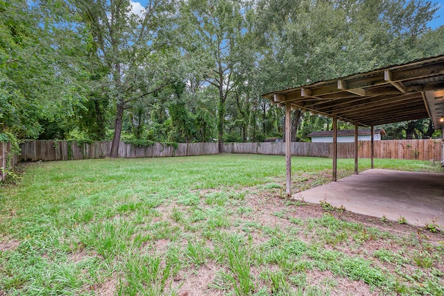 view of yard featuring a patio