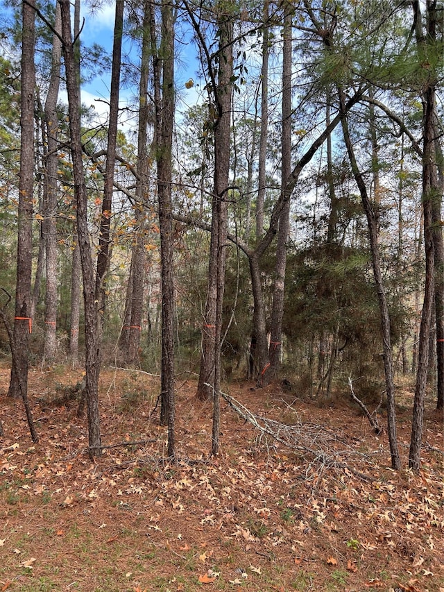 210 Twinstone Dr, Coldspring TX, 77331 land for sale