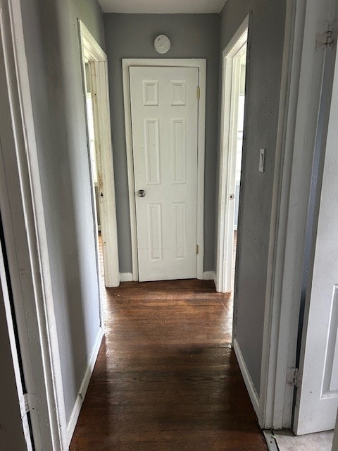 hall featuring dark wood-type flooring