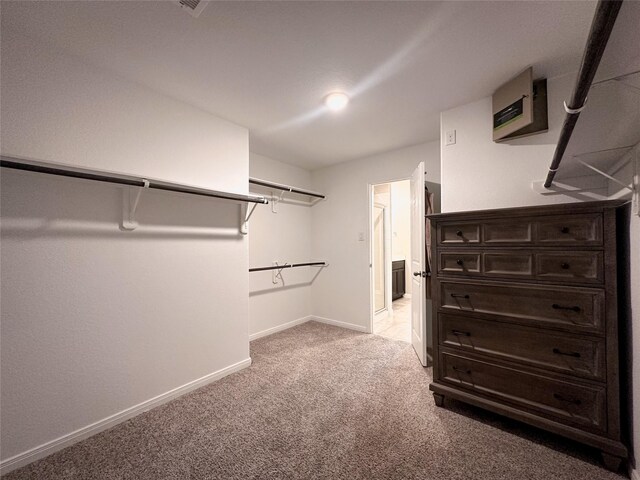 spacious closet with light colored carpet