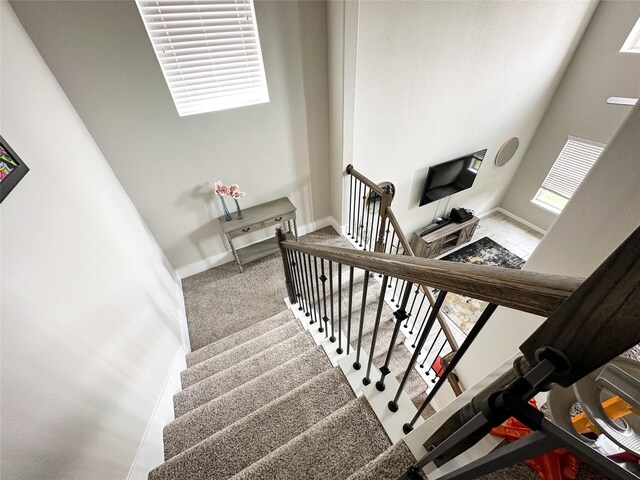 stairway featuring carpet