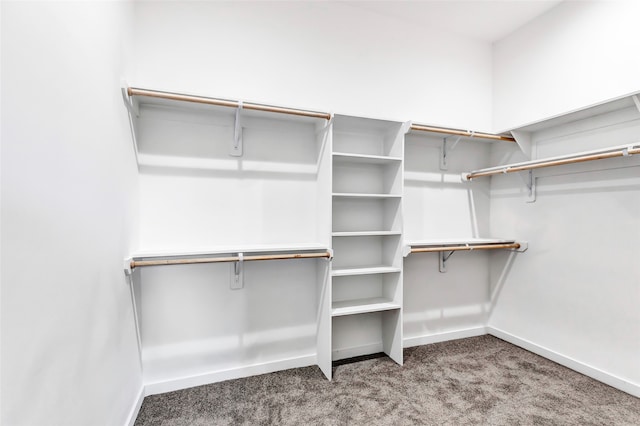 spacious closet with carpet floors