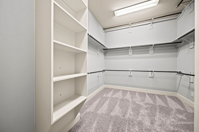 walk in closet featuring light carpet