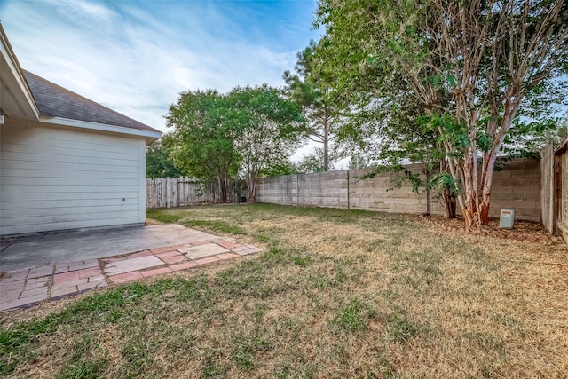 view of yard with a patio area