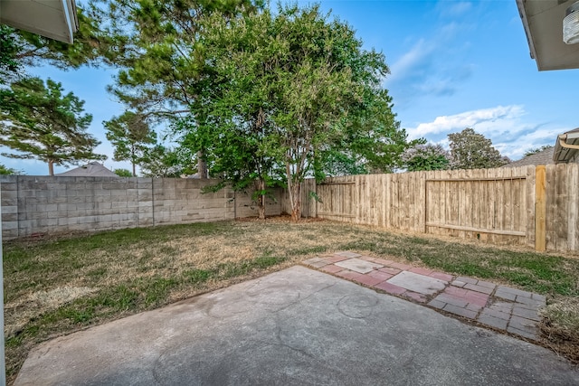 view of yard featuring a patio area