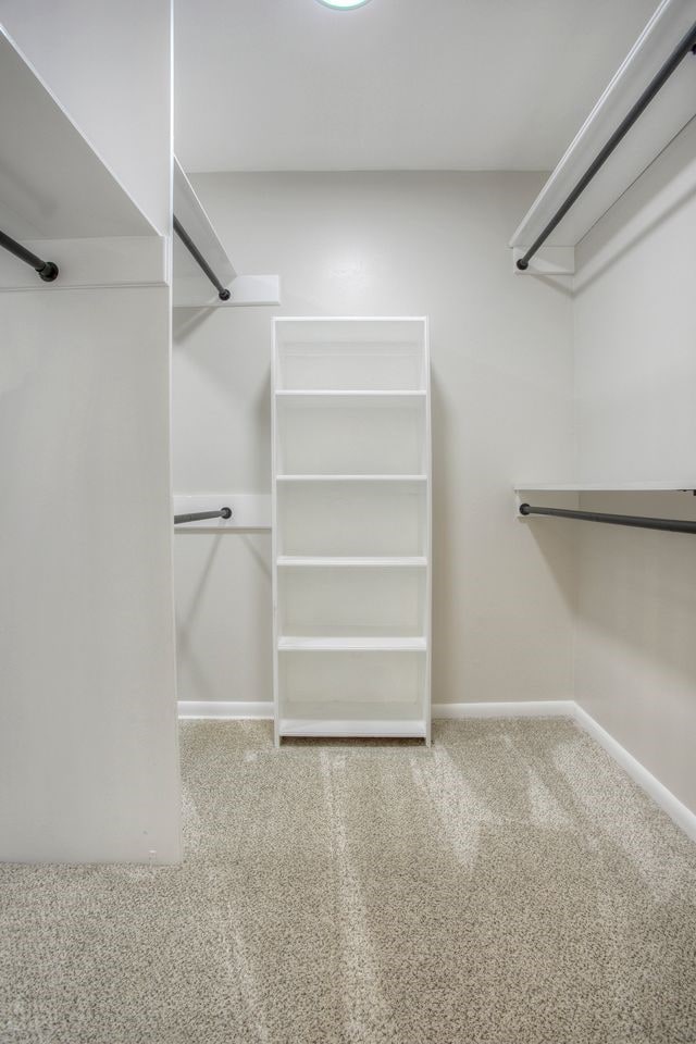 spacious closet featuring carpet flooring