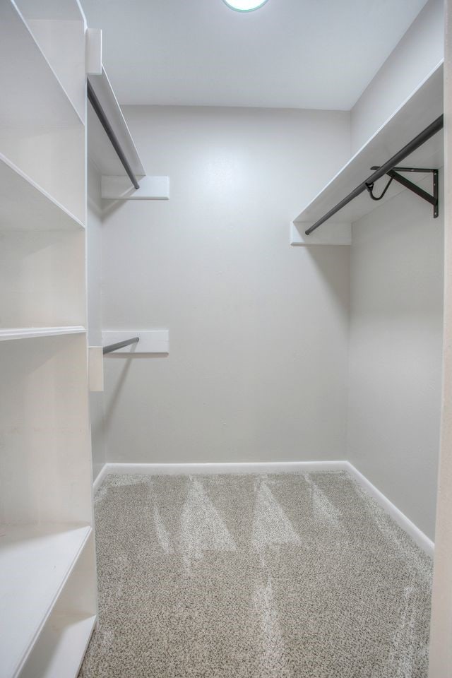 walk in closet with carpet flooring