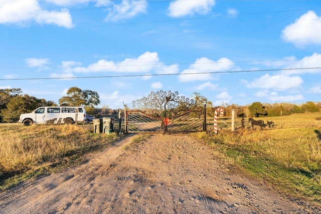 view of yard with a rural view