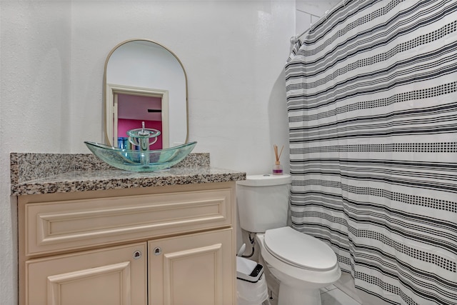 bathroom with curtained shower, toilet, and vanity