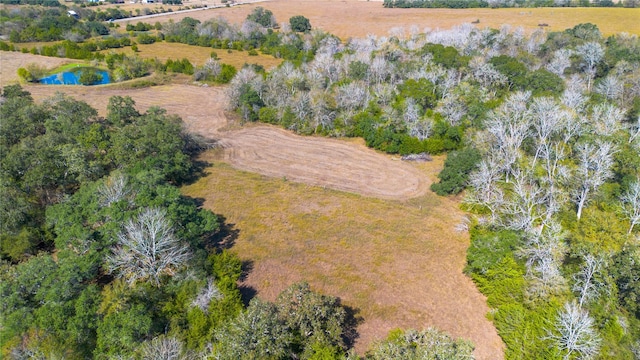 TBD Fm 109, Columbus TX, 78934 land for sale