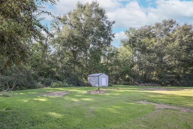 view of yard with a storage shed