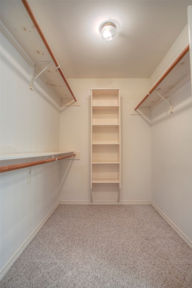 walk in closet featuring carpet