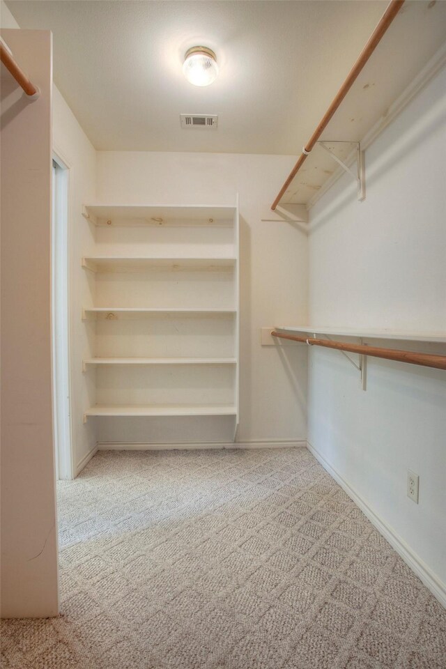 spacious closet with light carpet