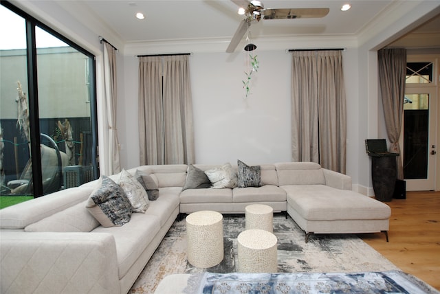 living room featuring ceiling fan, ornamental molding, and light wood-type flooring