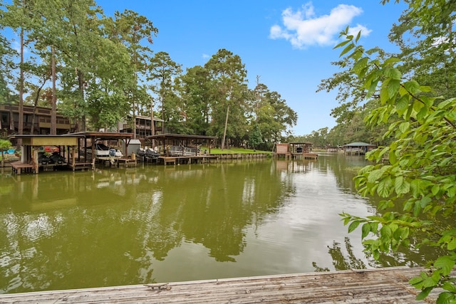 dock area with a water view