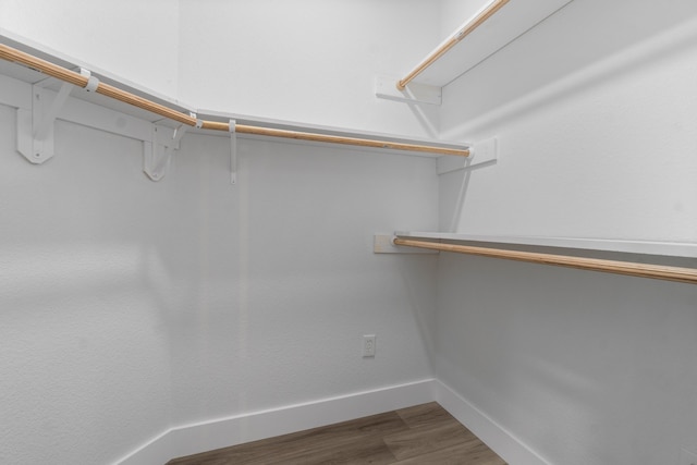 walk in closet with hardwood / wood-style flooring