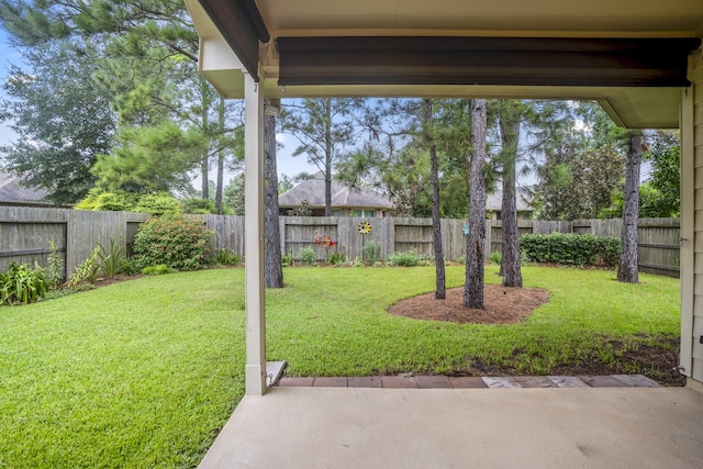 view of yard featuring a fenced backyard