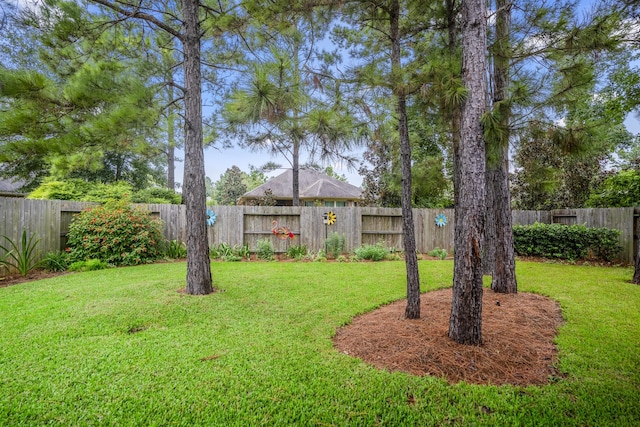 view of yard featuring a fenced backyard