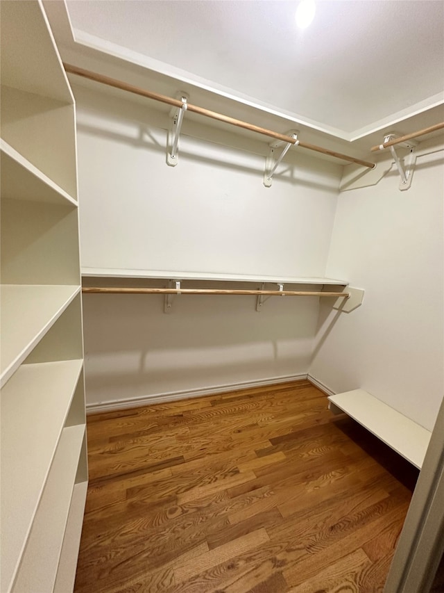 walk in closet with dark hardwood / wood-style floors