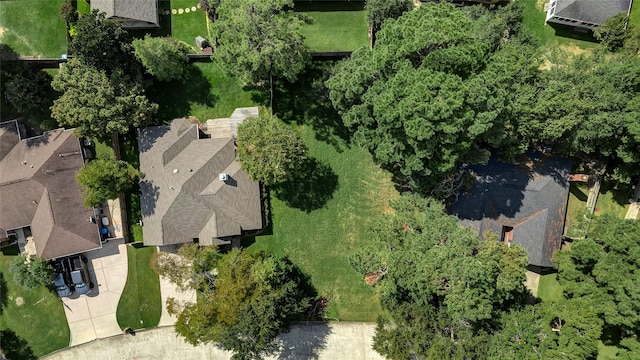 12647 Antares Loop, Willis, TX 77318 - photo 6