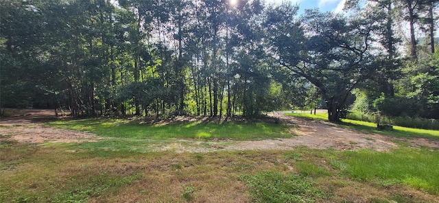 view of nature featuring a view of trees