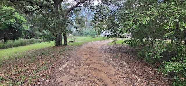 view of road