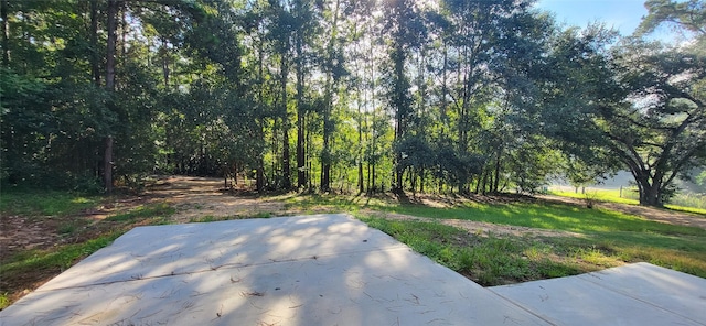 view of yard featuring a patio area