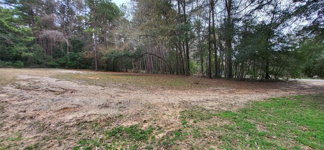 view of yard with a view of trees