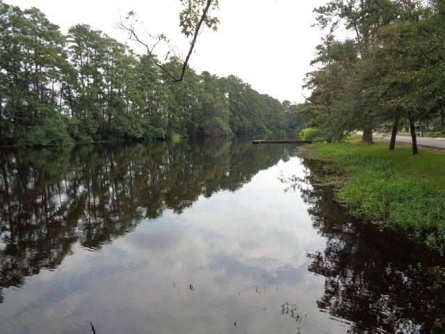 view of water feature with a forest view