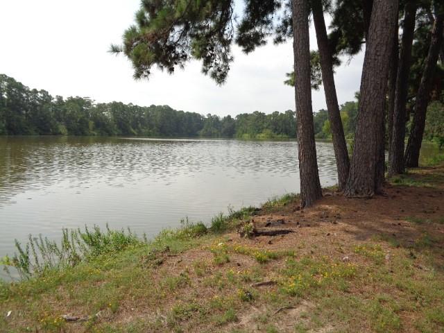 view of water feature with a view of trees