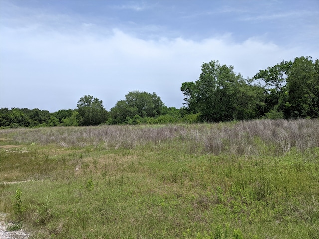 Listing photo 3 for 00 N Masters Rd N, Manvel TX 77578