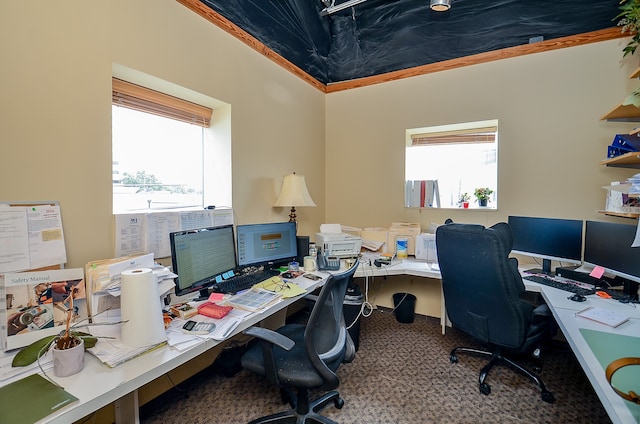 carpeted home office featuring plenty of natural light and crown molding