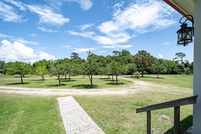 view of community with a yard