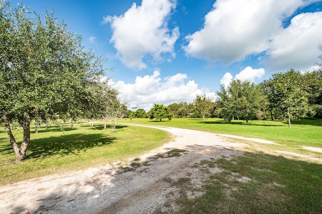 view of community with a yard